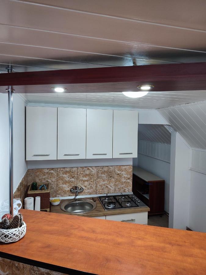 Casa Daiana - Toplita エクステリア 写真