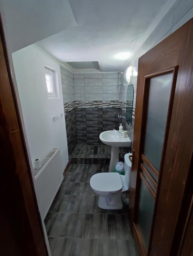 Casa Daiana - Toplita エクステリア 写真